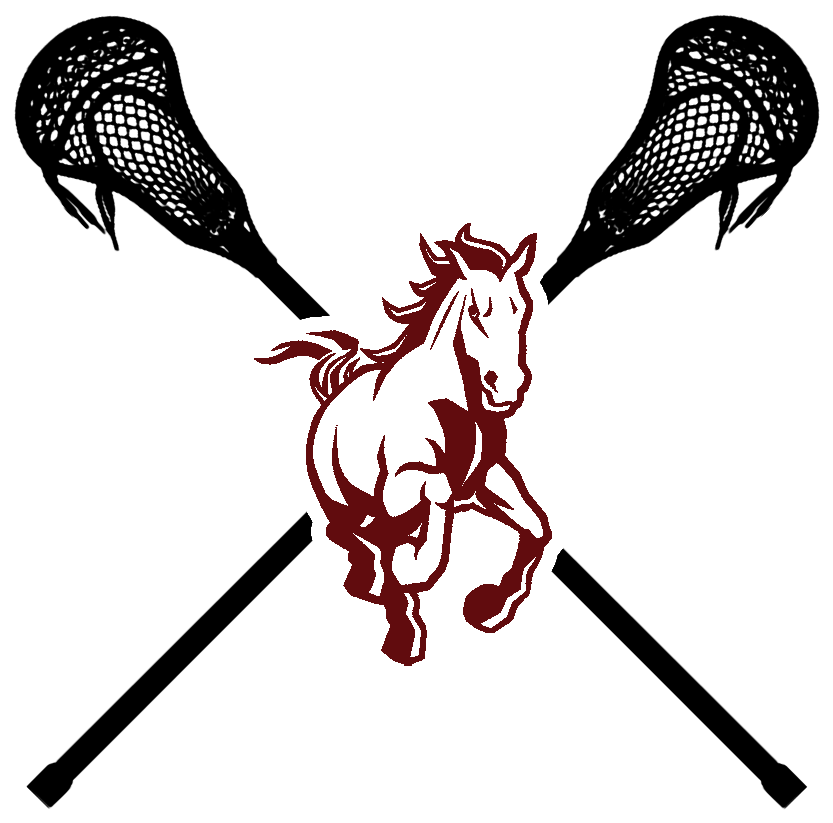 Our Mission - Lacrosse Stick Transparent Background (1080x1080), Png Download