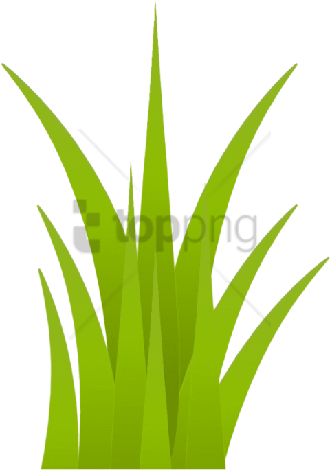 Free Png Download Grass Png Images Background Png Images (480x685), Png Download