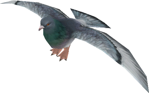 The Rock Dove Or Rock Pigeon Is A Member Of The Bird - Zoo Tycoon 2 Pigeon (750x650), Png Download