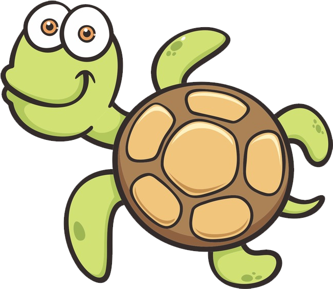 Tortoise, Turtle, Clip Art, Tortoise Turtle, Tortoise - Sea Animals Cartoon (800x800), Png Download