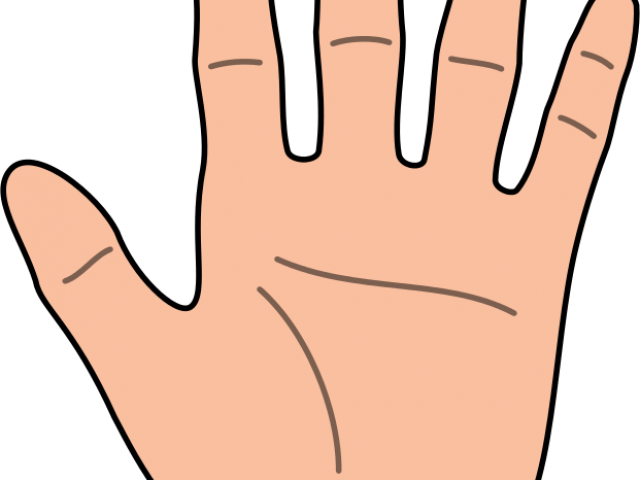 Fingers Clipart (640x480), Png Download