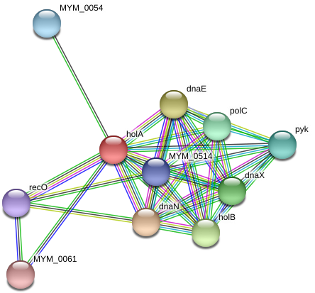 Circle (975x449), Png Download