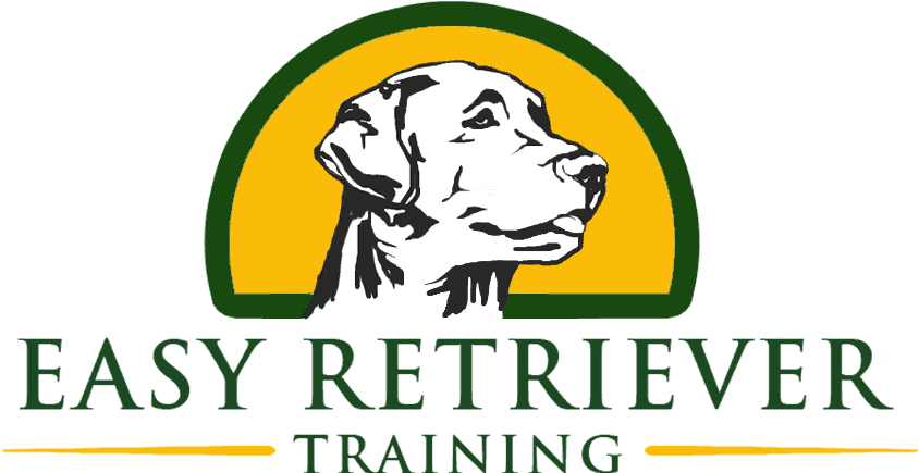 Easy Retriever Training - Sisters Of Charity Of Leavenworth (854x446), Png Download