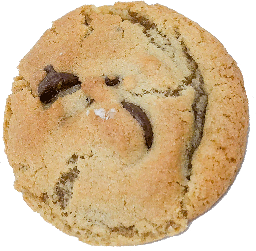 Classic Chocolate Chip Cookie - Poppy Seed Roll (1100x1100), Png Download
