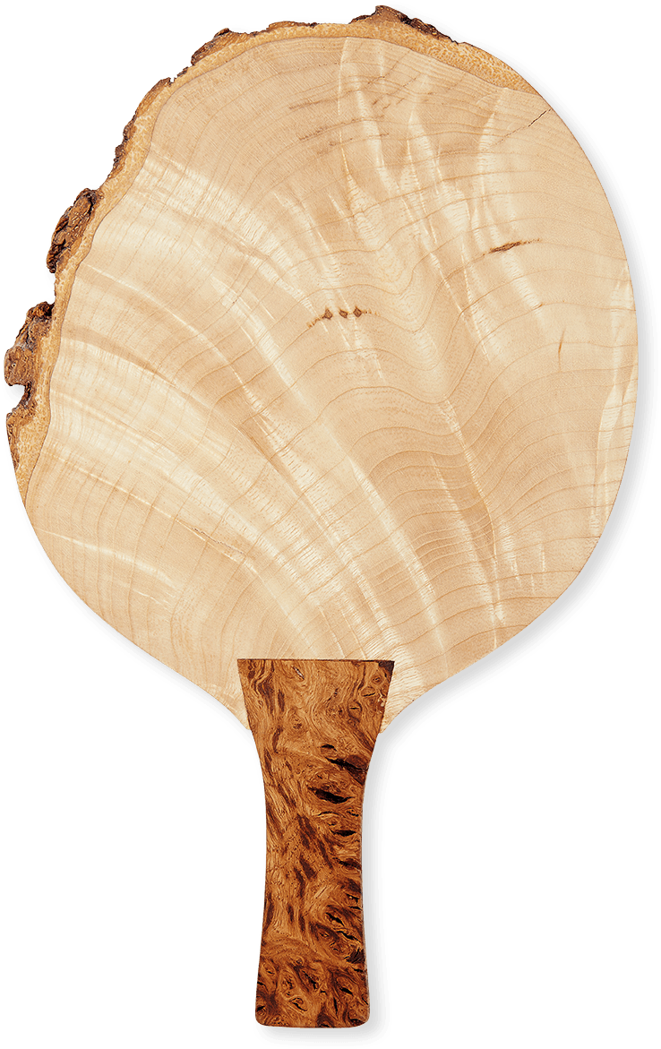 Sebastian Cox - Table Tennis Racket (828x1243), Png Download