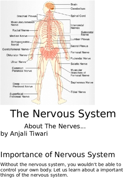 Doc - Diagram (600x776), Png Download