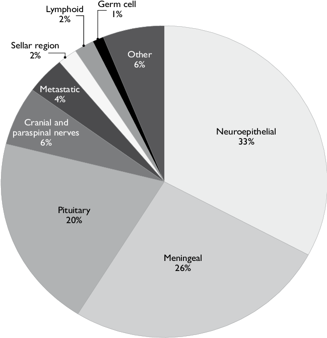 Percent Frequencies Of Central Nervous System Tumors - Diagram (672x683), Png Download