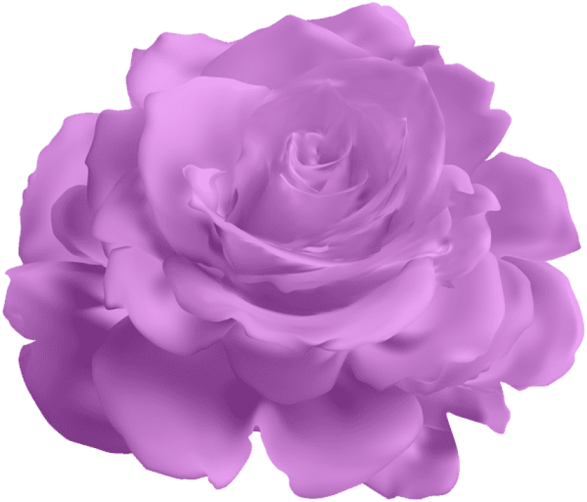 Download Png Images Toppng - Transparent Flowers Background Blue (850x726), Png Download