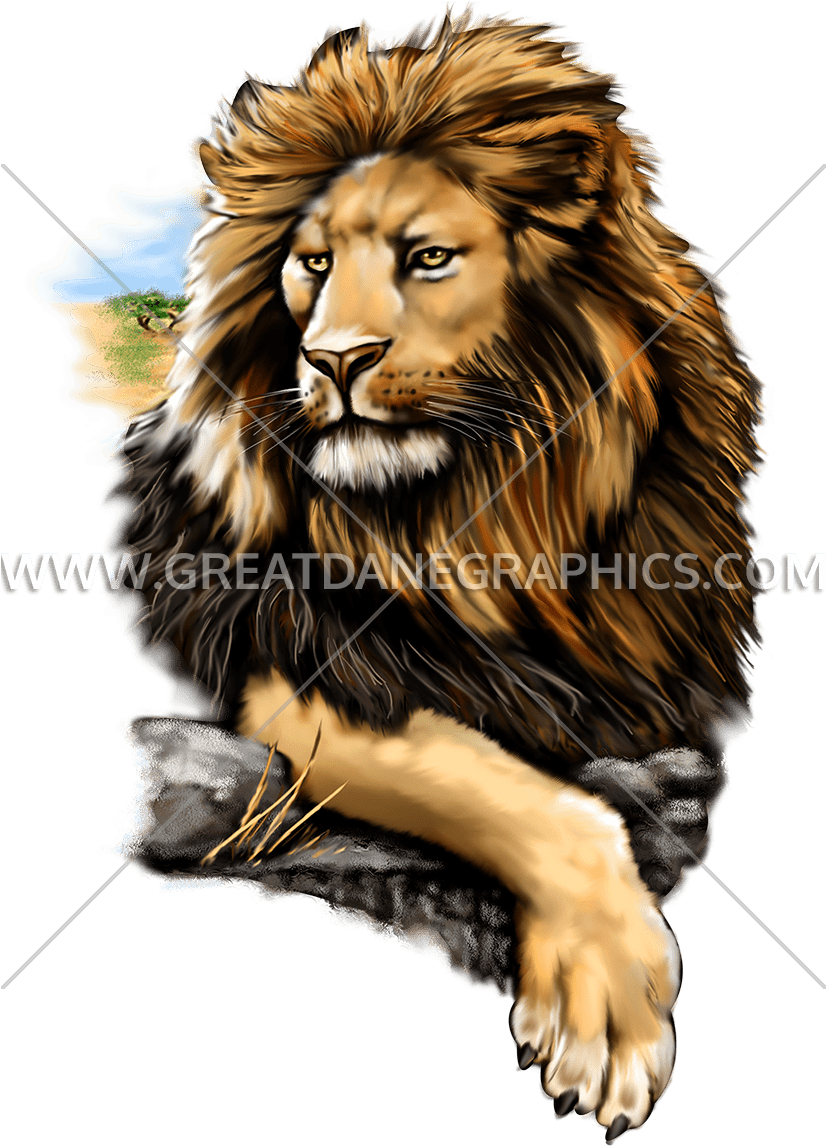Proud Lion Png - - Masai Lion (825x1221), Png Download