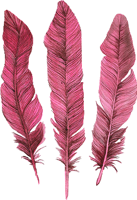 500 X 625 1 - Blue Feather (500x625), Png Download