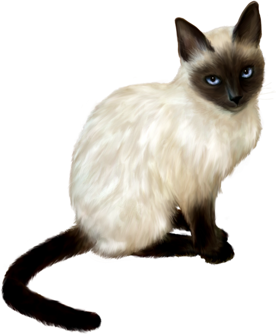 Png Gatos - Gato (727x803), Png Download