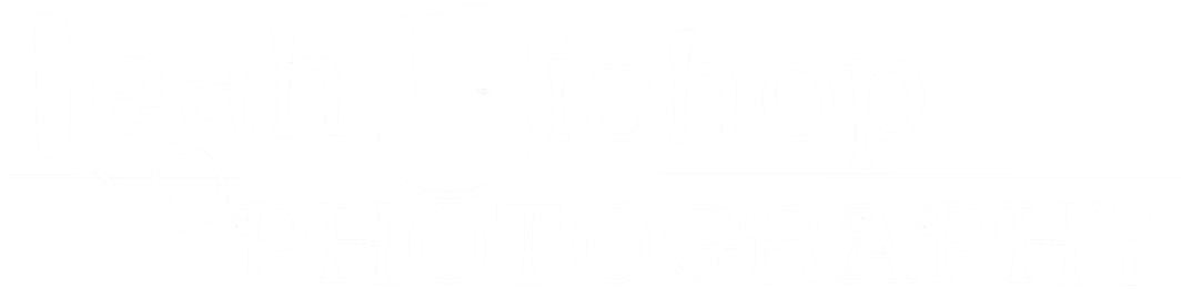 Contact Me Below Or Call 781-6232 To Schedule (1100x296), Png Download