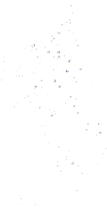 Bird (408x855), Png Download
