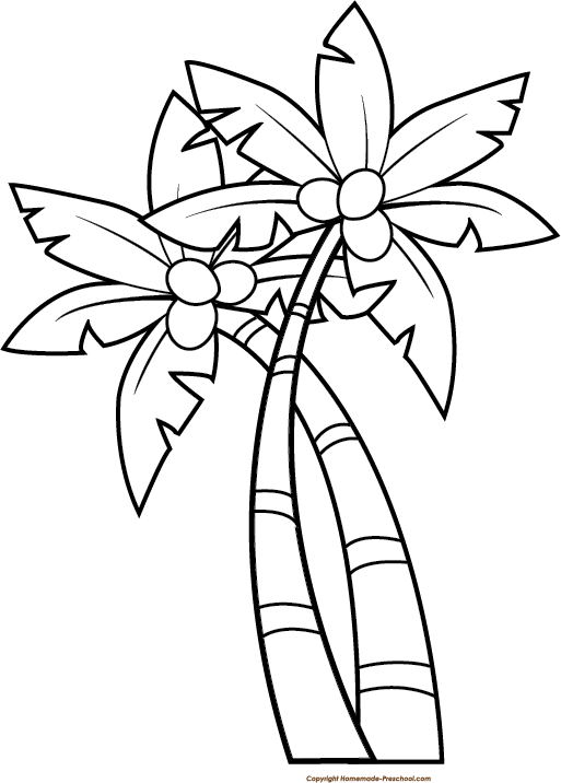 Palm Tree Png Clipart - Clipart Black And White Coconut Tree (513x716), Png Download