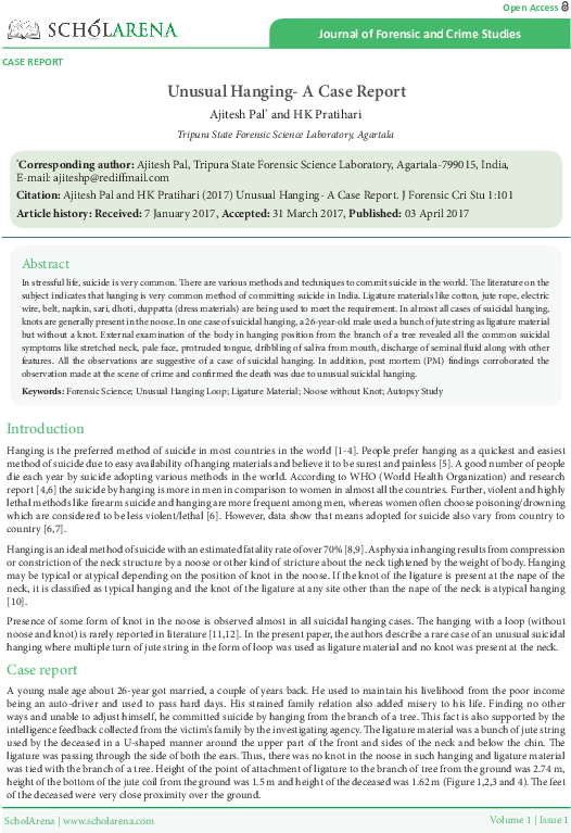 Pdf - Goose Tower In Vordingborg, Zealand (595x842), Png Download