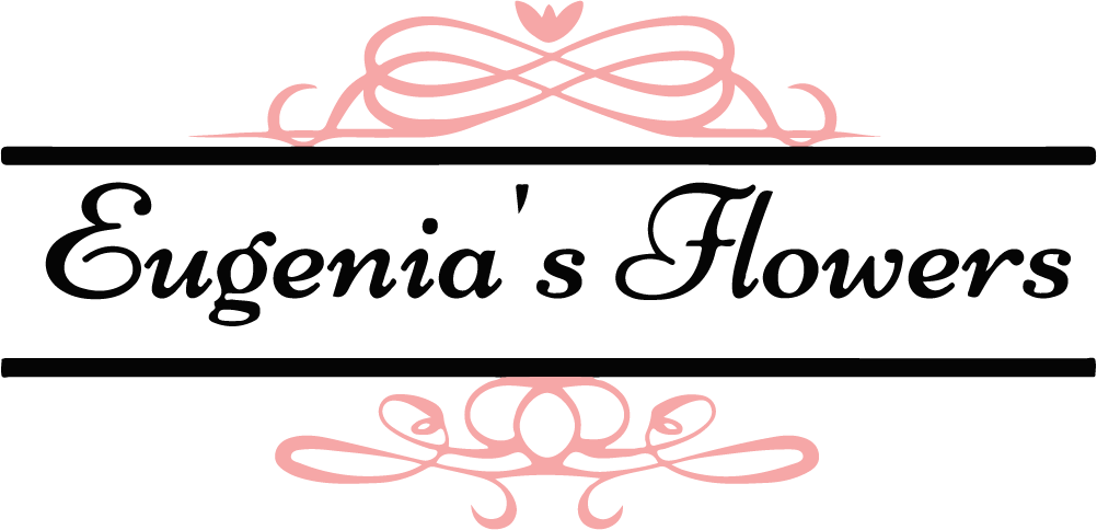 Cicero, Il Florist - Calligraphy (1002x484), Png Download