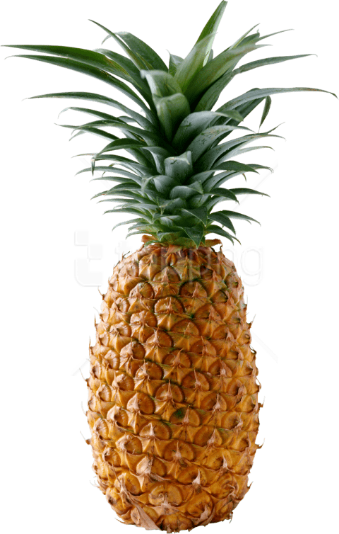 Free Png Download Pineapple Png Images Background Png - Pineapple Png (480x754), Png Download