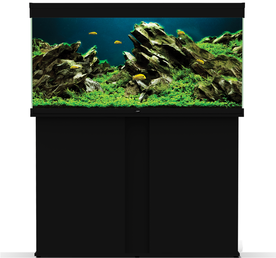 Emotions Pro - Emotion (890x1000), Png Download