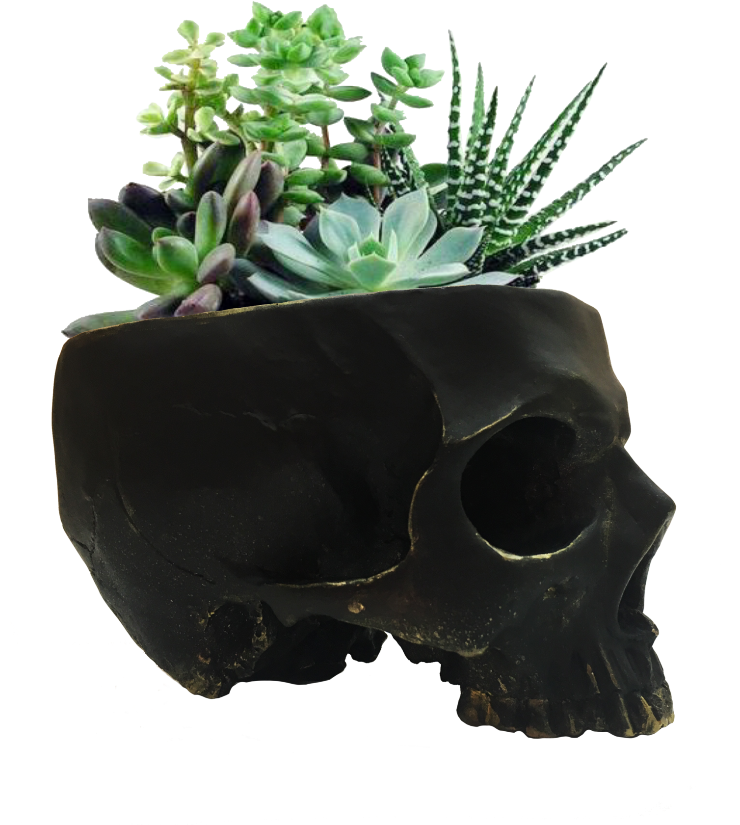 Skull Gold Edges Skull Planter / Skull Bowl / Cool - Bag (2048x1947), Png Download