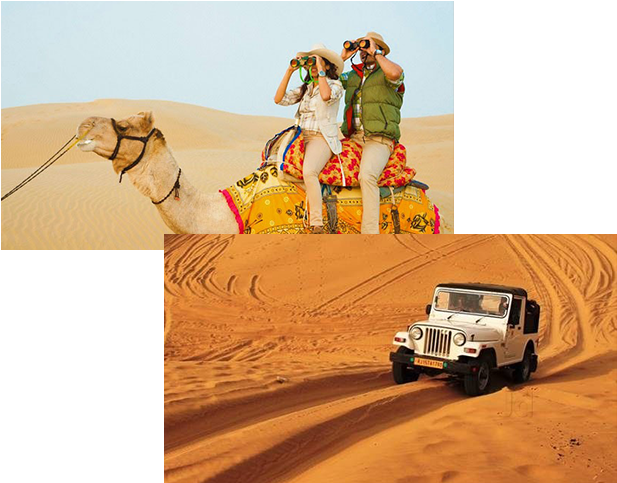 Food Dish Image - Camel Safari In Thar Desert (631x500), Png Download