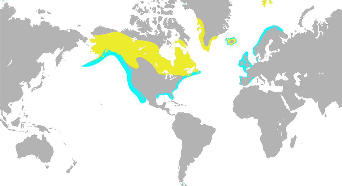 Fortnite - Labelled Black And White World Map (1099x597), Png Download