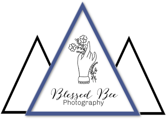 Logo - Triangle (680x510), Png Download