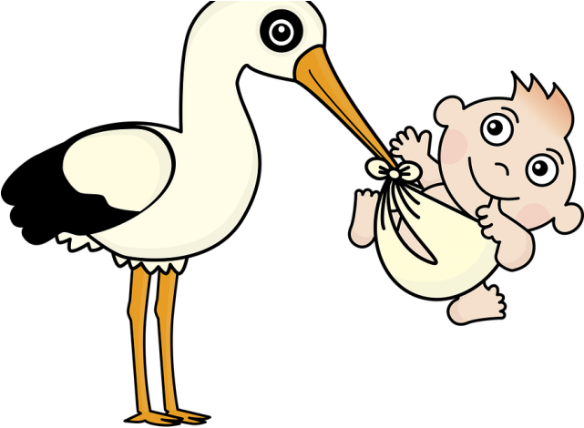 Stork Clipart Baby Vector - Infant (640x480), Png Download
