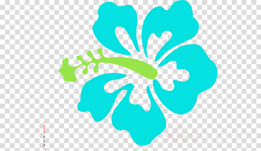 900 X 520 1 - Hibiscus Flower Svg (900x520), Png Download