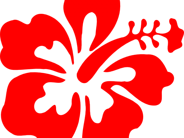 Hibiscus Clipart Flower Boarder - Clipart Hibiscus Flower Png (640x480), Png Download