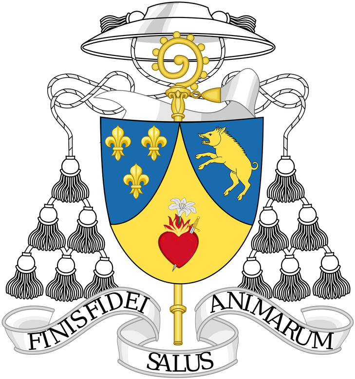 Coat Of Arms - Wild Boar Cartoon (801x800), Png Download