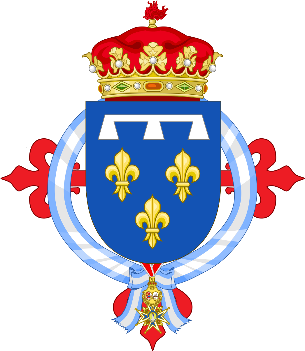 Alvaro Of Orleans, 6th Duke Of Galliera - Duke Of Orleans Coat Of Arms (1082x1237), Png Download