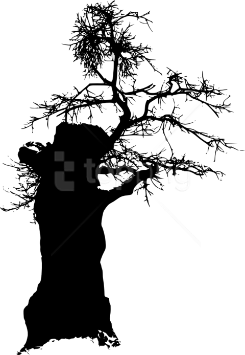 Free Png Tree Silhouette Png - Silhouette (480x694), Png Download