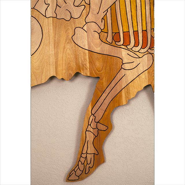 Wood (640x640), Png Download