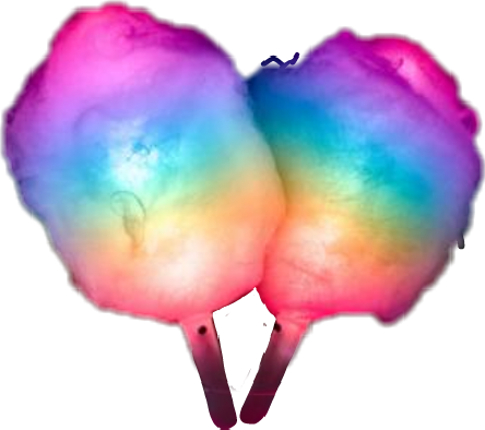 Tulip (444x394), Png Download