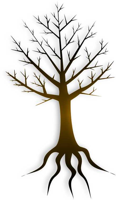 Roots Clipart Tree Trunk - Tronco De Arbol Dibujo Png (342x590), Png Download