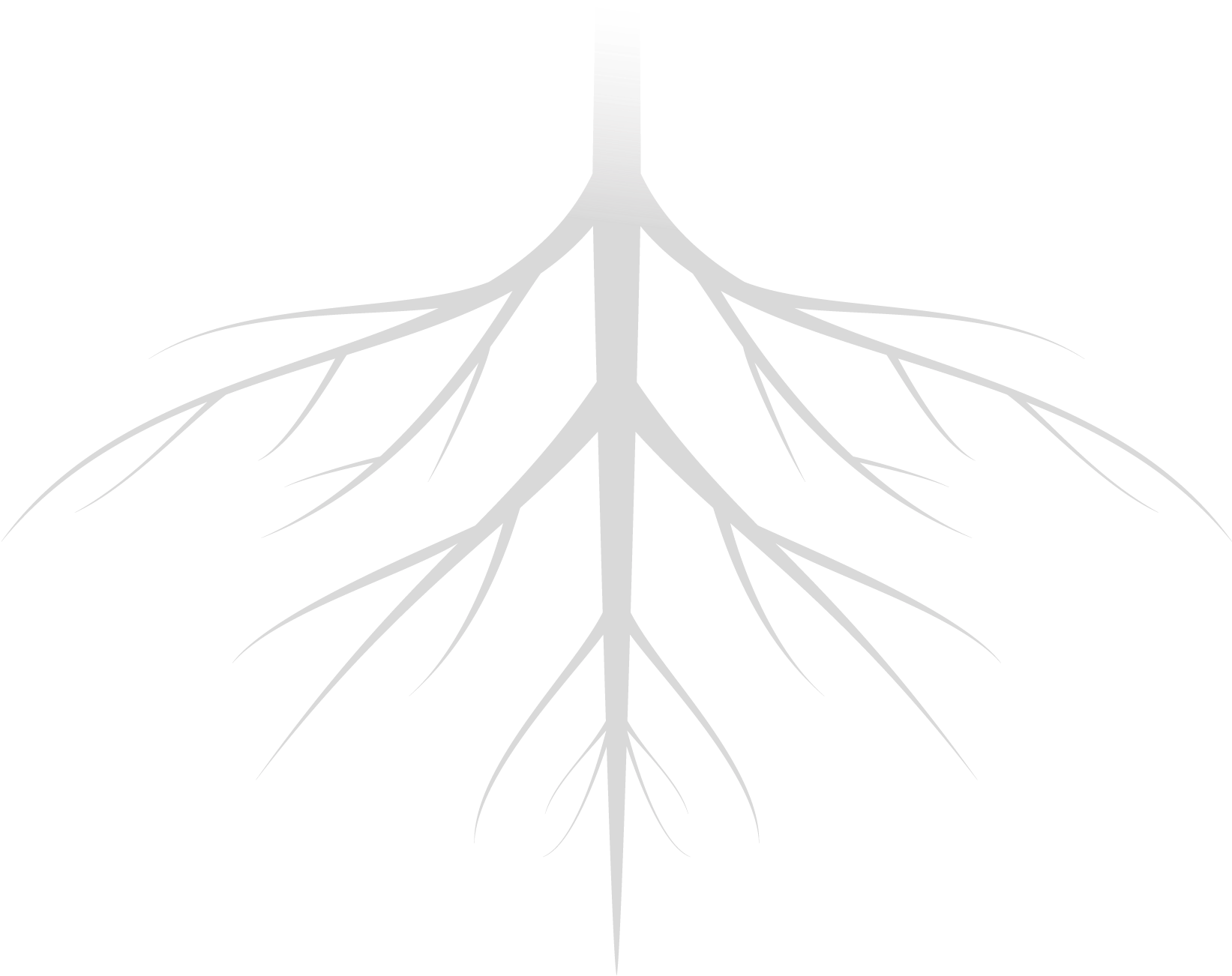 Simple Roots Png Tree Roots-01 - Geolite Clay Pebbles - Free Transparent PNG Download ...