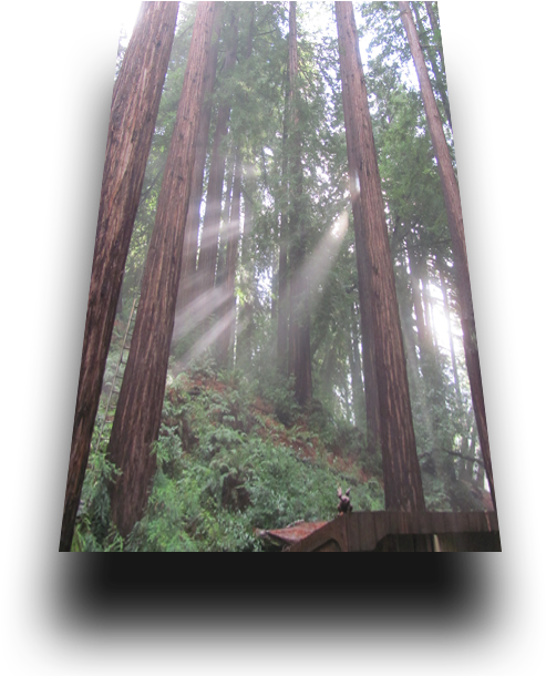 In Our Travels To Ancient And Historic Ruins I Have - Project (540x630), Png Download