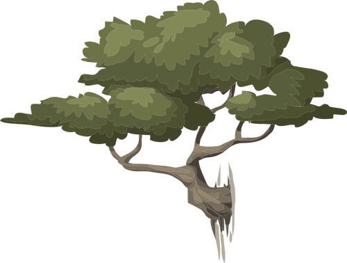 Clip Art Freeuse Tree Flora Y Naturaleza - Bonsai Tree Transparent Background (500x378), Png Download