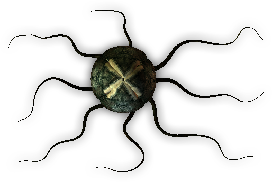 Alien Egg With Root Tentacles Closed - Egg (1080x720), Png Download