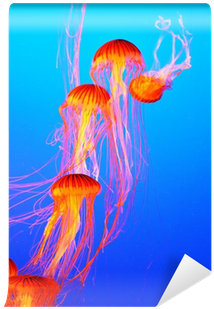 The Jellyfish With Thin Tentacles Wall Mural • Pixers® - Tentacle (400x400), Png Download