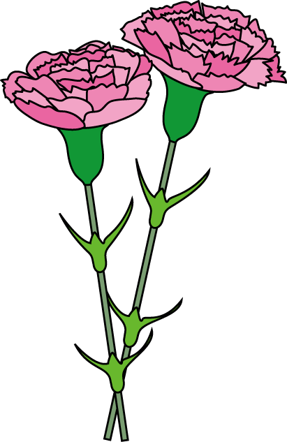 Carnation Cliparts - Clip Art (411x633), Png Download