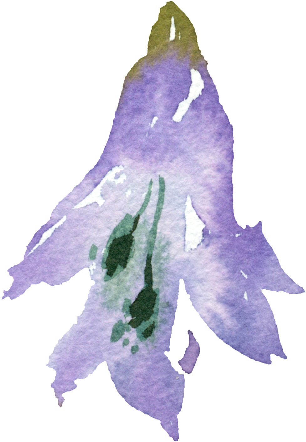 Hand-painted Cartoon Carnation Png Transparent - Portable Network Graphics (1024x1536), Png Download