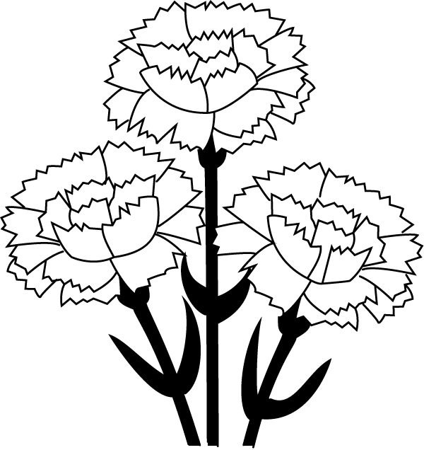 Carnation Clip Art - Carnation Flower Black And White Clipart (600x636), Png Download