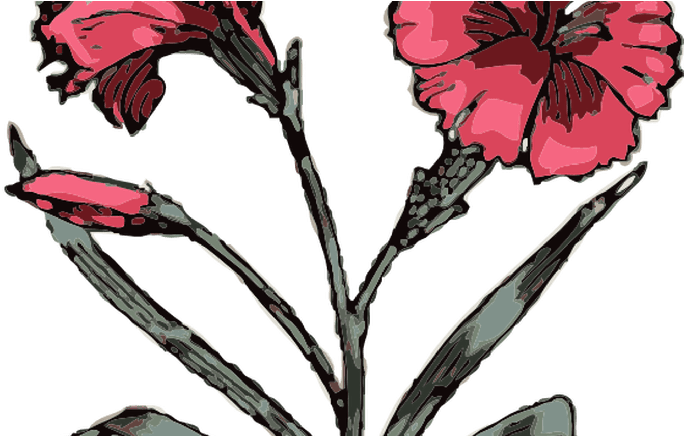Carnation Clip Art At Clkercom Vector Clip Art Online, - Carnation Tattoo Designs (1368x855), Png Download