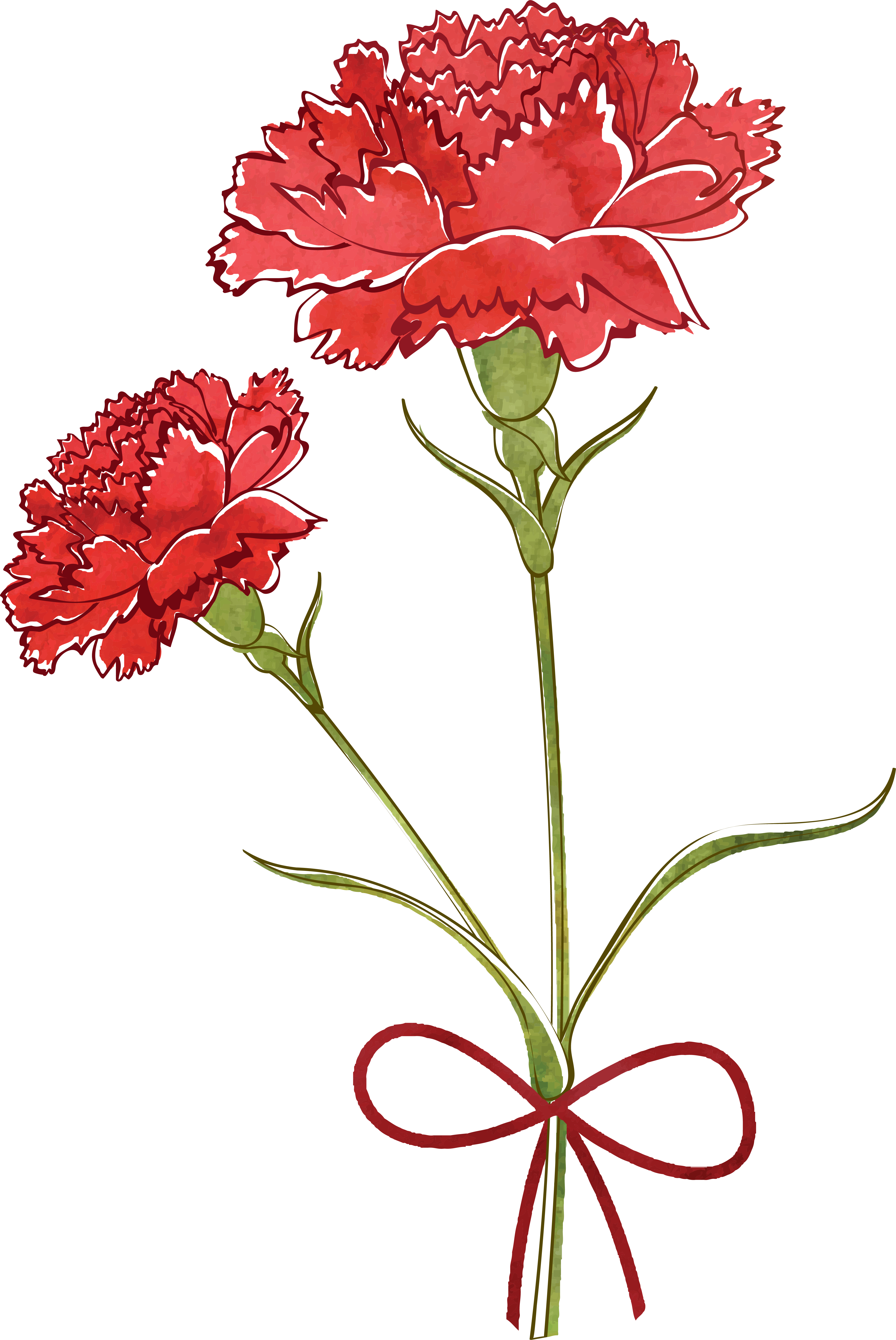 Flower Watercolor Painting Transprent Png Free Download - Carnation Watercolor (4228x6324), Png Download