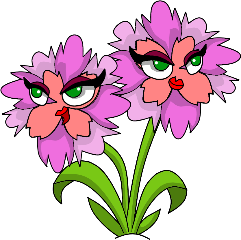 Charming Carnation Hd (900x900), Png Download