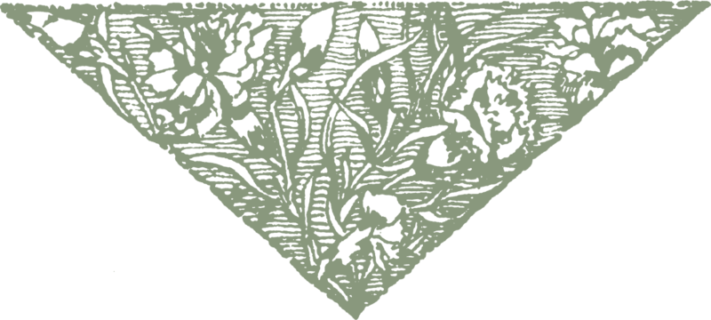 The Green Carnation - Portable Network Graphics (800x360), Png Download