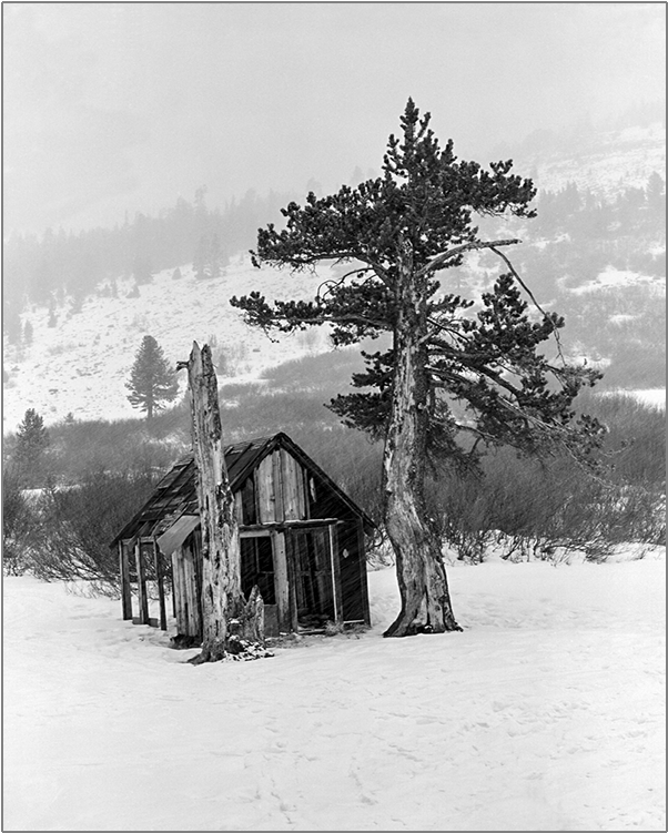 Old Cabin In Snow - Painting (750x750), Png Download