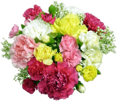 Classic Carnations Bouquet - Cut Flowers (400x400), Png Download