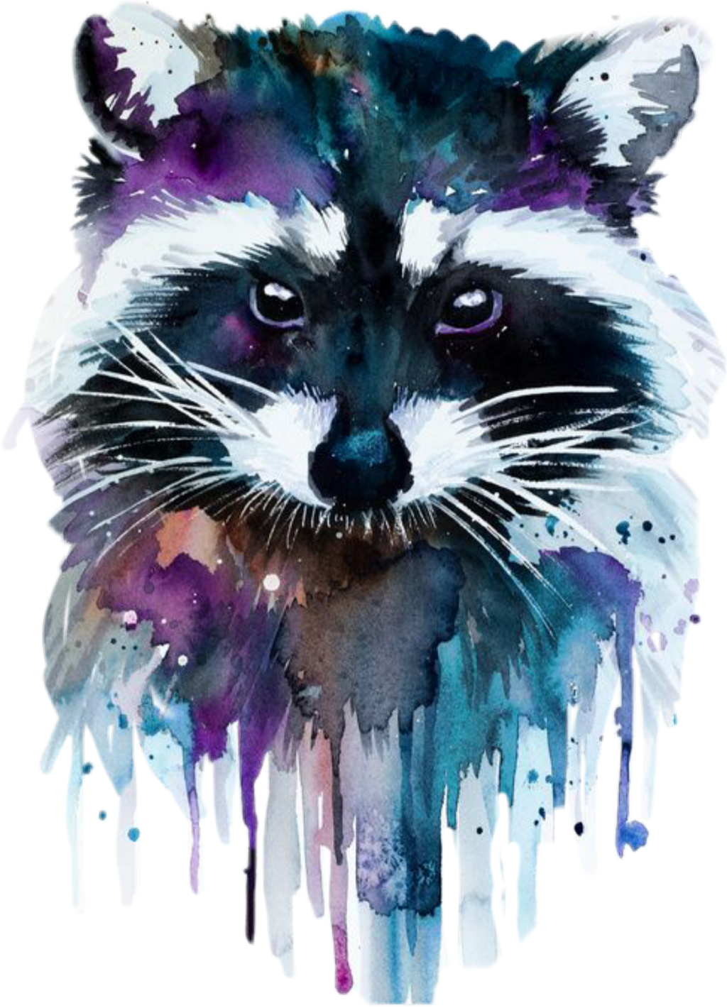 Report Abuse - Raccoon Watercolor (1024x1420), Png Download